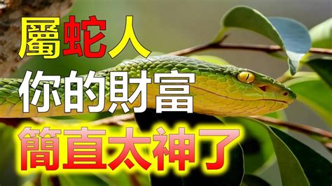 蛇帶財|【蛇帶財】蛇帶財！2024屬蛇好運連連、橫財入庫，千萬別錯。